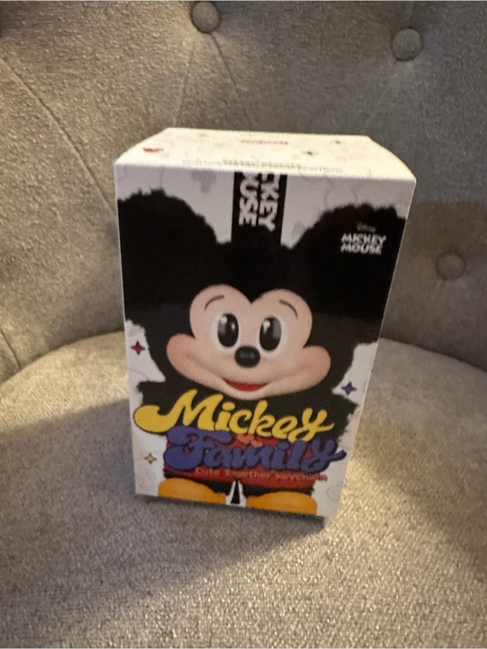 NEW sealed Mickey Family Collectible Box with Mickey Mouse Artwork